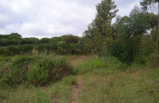 Prime 1/8 acre plots for sale in Ngong Matasia.